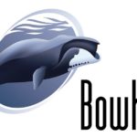 Bowhead
