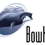 Bowhead